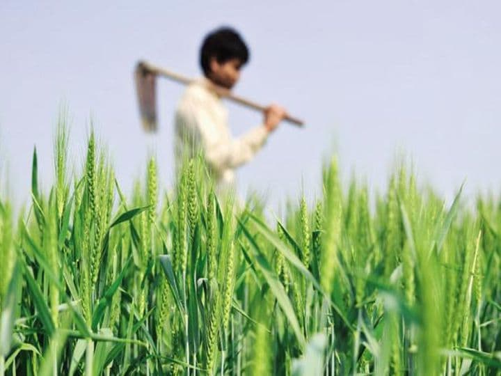 Budget 2021 : बजट में किसानों को मिल सकता है बड़ा तोहफा