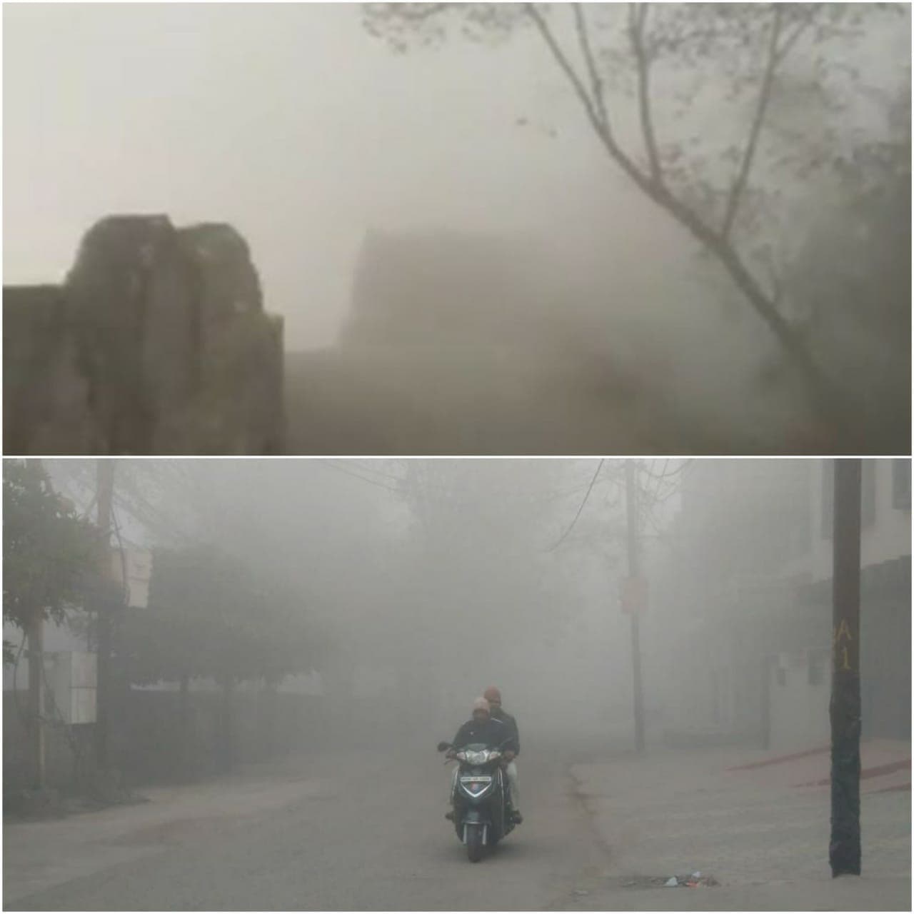 Weather : मध्यप्रदेश में यहां दिखा कश्मीर जैसा नजारा, छाई घने कोहरे की चादर