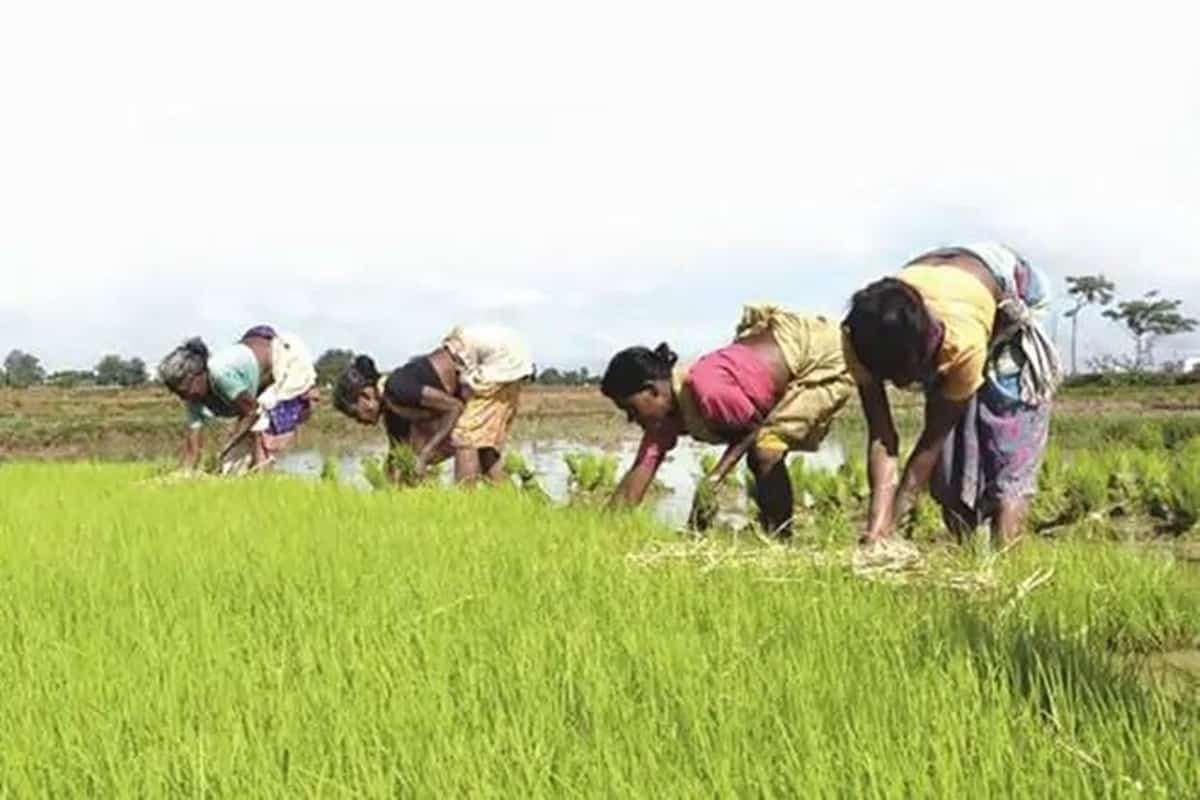 मप्र के किसानों के लिए शिवराज सरकार का एक और बड़ा फैसला