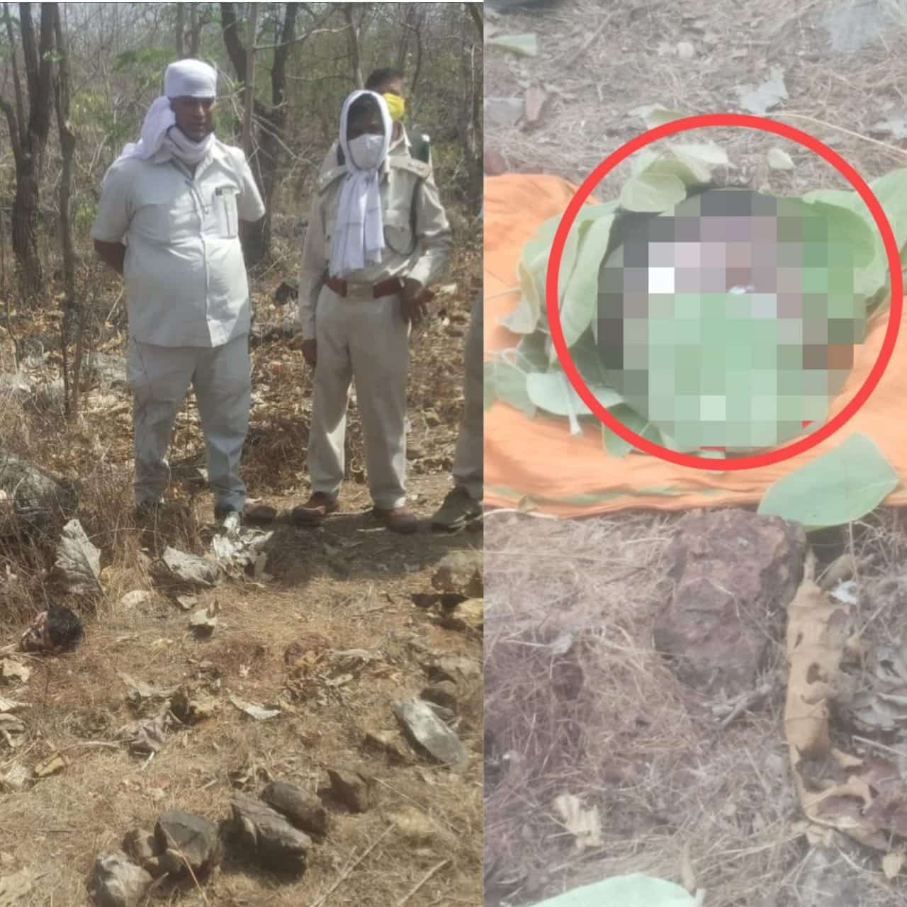 देवास : 5 साल के बच्चे का सिर कंकाल हुआ बरामद, जंगली जानवर के हमले की आशंका, पुलिस जांच में जुटी