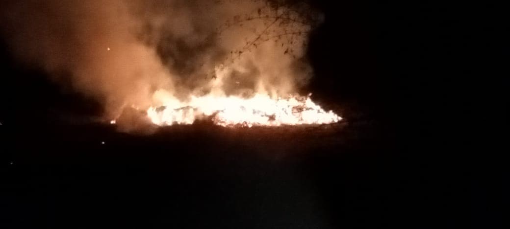 बालाघाट में एक बार फिर नक्सलियों ने तेंदूपत्ता फड़ को लगाई आग, 59 बोरी तेंदूपत्ता खाक