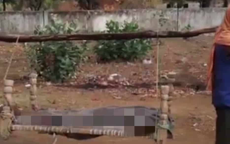 नाकाम सिस्टम: बेटी का शव खाट पर रख 35 किलोमीटर चला पिता, गर्भवती महिला ने जंगल में दिया बच्चे को जन्म