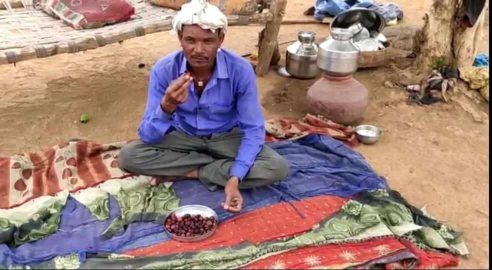 टीकमगढ़: सिस्टम की खुली पोल, राशन कार्ड होने के बावजूद बेर और नमक खाने को मजबूर गरीब परिवार