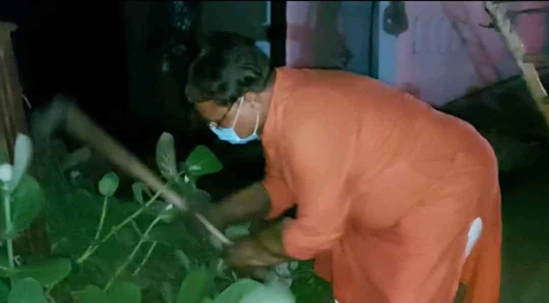 Indore News : एक्शन मोड में ऊर्जा मंत्री, इसलिए हाथ में उठाई कुल्हाड़ी