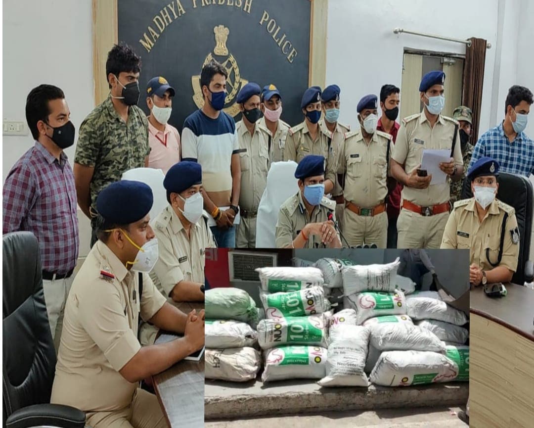 मुरैना पुलिस की कार्रवाई, 3 करोड़ के गांजे के साथ 2 आरोपियों को किया गिरफ्तार