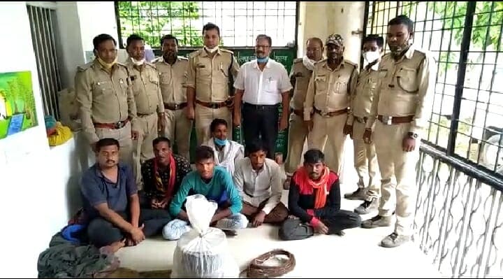 Chhindwara: वन विभाग ने पकड़े 06 शिकारी, करेंट लगाकर करते थे वन प्राणियों का शिकार