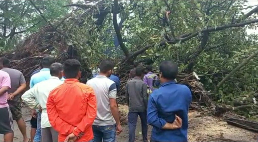 Jabalpur News : वर्षों पुराना बरगद का पेड़ गिरा, कई लोग दबे, 2 की हालत नाजुक