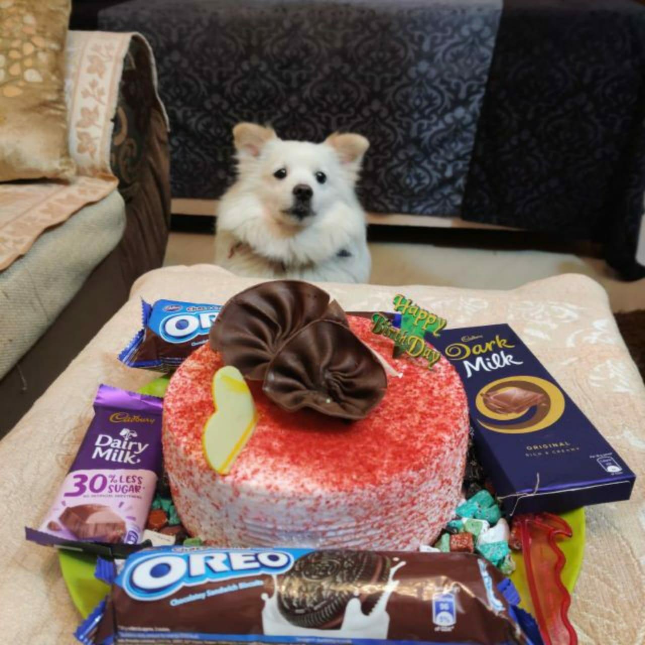 हॉस्टल से गायब हुआ “शीरो”, परिवार के लोग ग़मज़दा, ढूंढ कर लाने वाले को मिलेगा इनाम