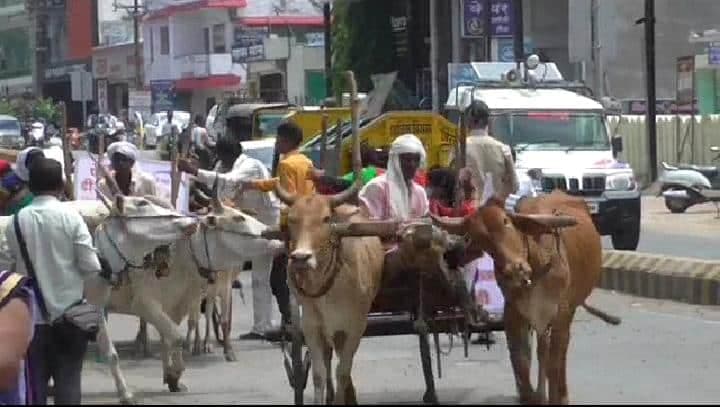 Chhindwara : महंगाई के खिलाफ महिला कांग्रेस द्वारा बैलगाड़ी रैली निकालकर किया प्रदर्शन, SDM को सौंपा ज्ञापन