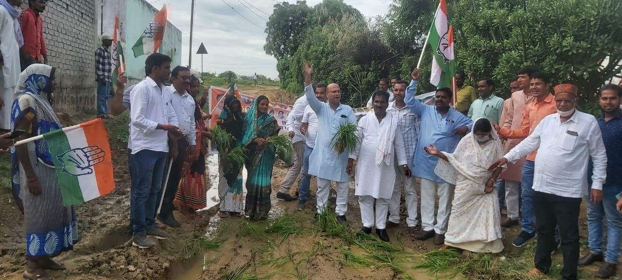 नगर निगम प्रशासन के खिलाफ विरोध प्रदर्शन कर, कांग्रेसियों ने सड़क के बीच कीचड़ में रोपा धान