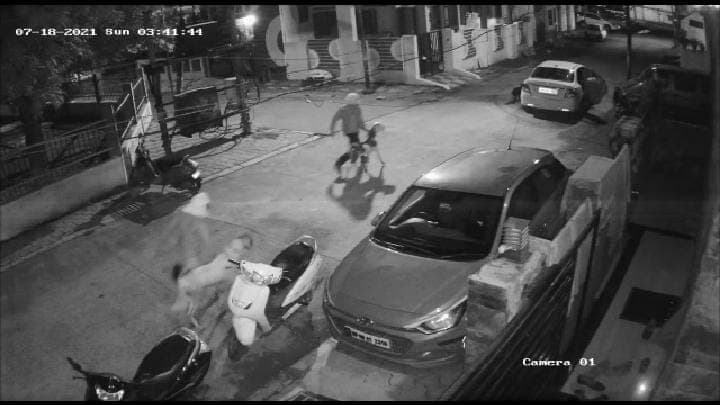 Indore :बकरीद के पहले दो बकरों को चुराने की घटना आई सामने, इस तरह चोरों ने दिया घटना को अंजाम, देखें VIDEO !