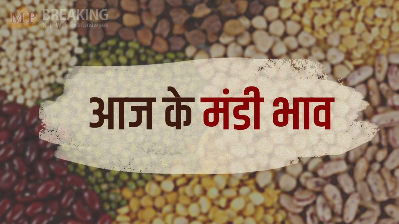 Mandi Bhav: मंडी में तुअर के दाम में जबरदस्त गिरावट, डॉलर चना और मूंग के रेट में भी आई मंदी