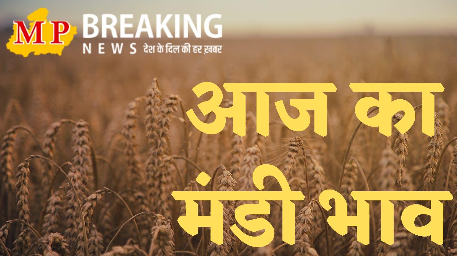 Mandi Bhav 29 September 2023 : गेहूं के भाव में उछाल, दलहन-तिलहन में उतार-चढ़ाव, सोयाबीन में गिरावट, इन फलों-सब्जियों के गिरे दाम, जानें आज का मंडी भाव