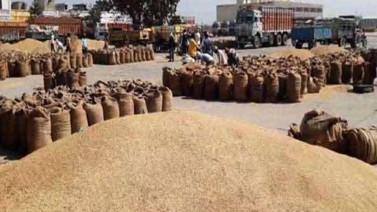 सरकार की सख्ती, मिलिंग कार्य में लापरवाही बर्दाश्त नहीं होगी, धान परिवहन करने वाले वाहनों पर लगेगा जीपीएस, मिलर्स को भी कड़े निर्देश