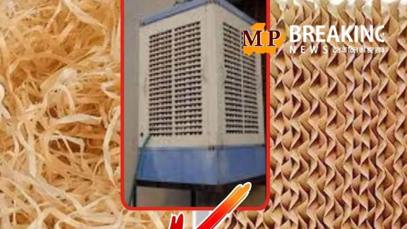 हनीकॉम्ब या ग्रास, कूलर में कौन सा पैड देगा सबसे ज़्यादा ठंडक? अंतर समझ लो