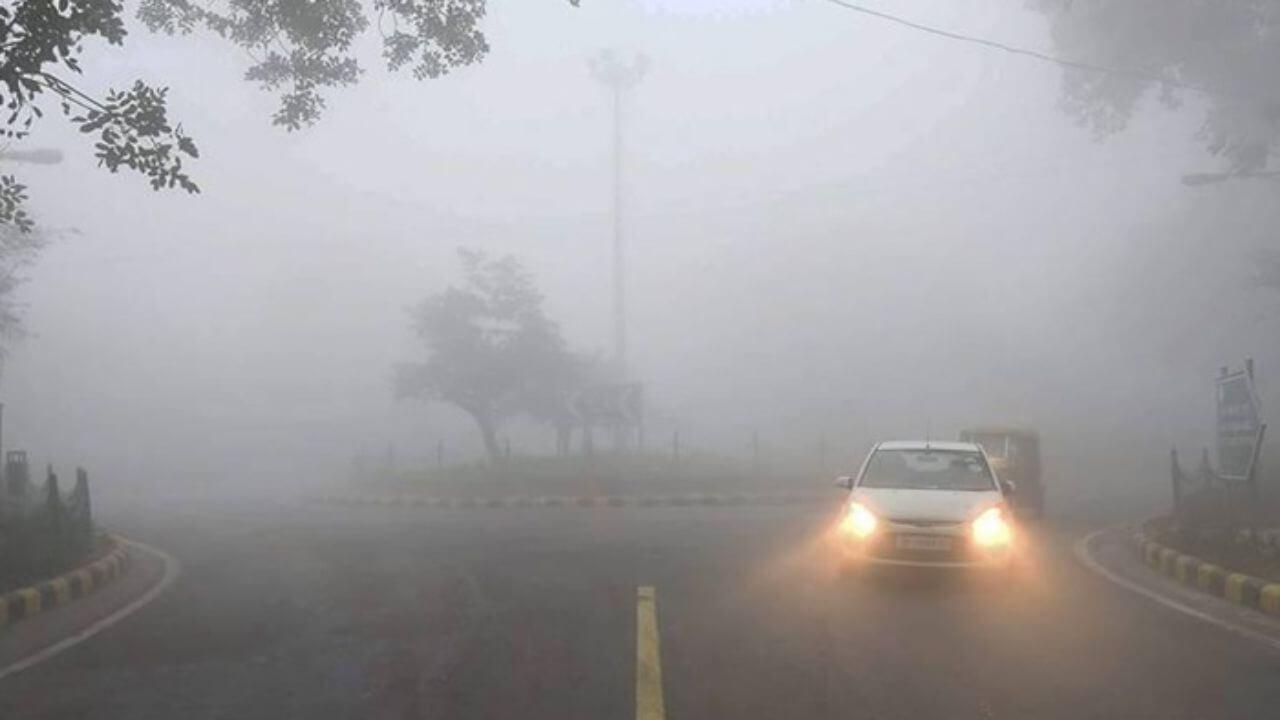 Weather Update: महाराष्ट्रातील हवामानात मोठा बदल; थंडीची लाट येण्याचा हवामान विभागाचा अंदाज