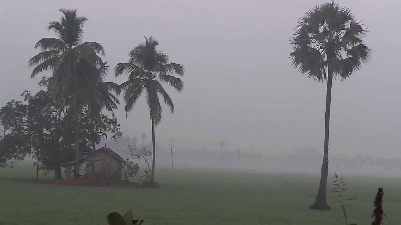 Weather Update: महाराष्ट्रात वारं फिरलं; बहुतांश ठिकाणी तापमानामध्ये मोठी घसरण