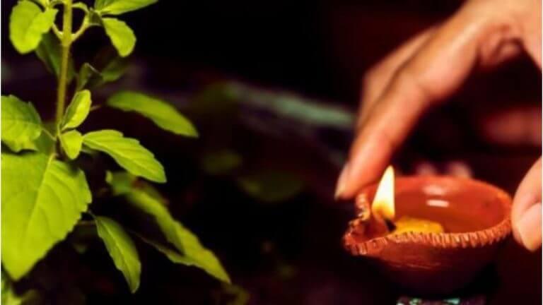 Vastu Tips : सायंकाळी तुळशीसमोर दिवा का लावला जातो? जाणून घ्या…