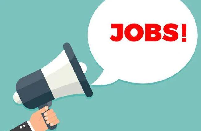 Sarkari Naukari: बैंक ऑफ बड़ौदा में निकली कई पदों पर भर्ती, 9 नवंबर से पहले करें आवेदन, जानें आयु-पात्रता