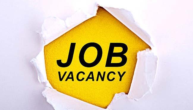 Government Job 2022 : टेक्निकल असिस्टेंट के पदों पर निकली भर्ती, जानें डिटेल्स, 29 अप्रैल से पहले करें आवेदन