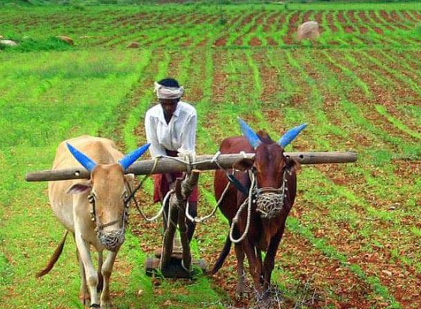 किसान सम्मान निधि: 9वीं किश्त नहीं मिली तो करें यहां क्लिक, इन किसानों को लौटानी होगी राशि