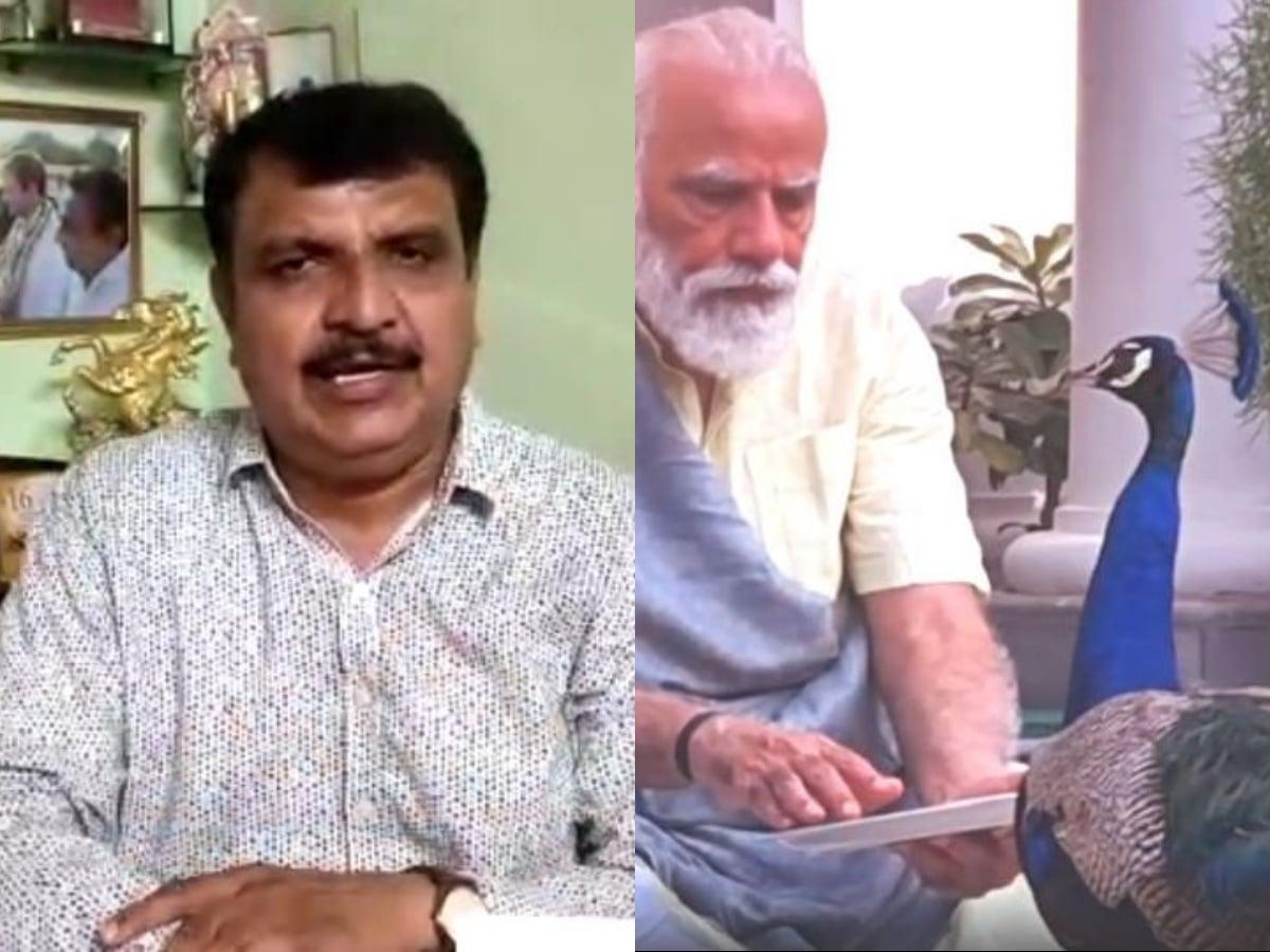 कांग्रेस नेता ने PM को लिखा पत्र, मोर पालने की मांगी अनुमति, दिया Wildlife Protection Act का हवाला
