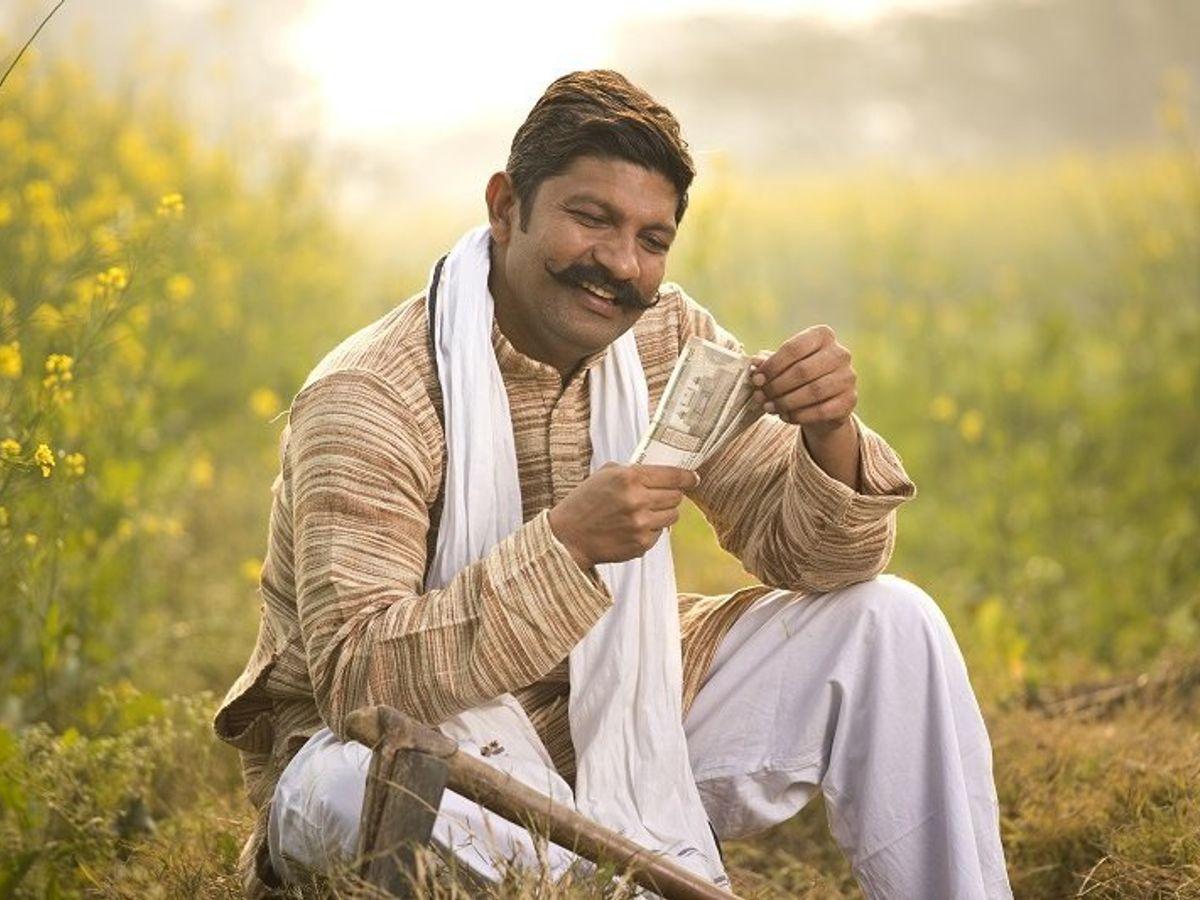 PM Kisan: किसानों के लिए बड़ी खबर, सीएम ने कलेक्टरों को दिए ये निर्देश, अटक सकती है 11वीं किस्त!