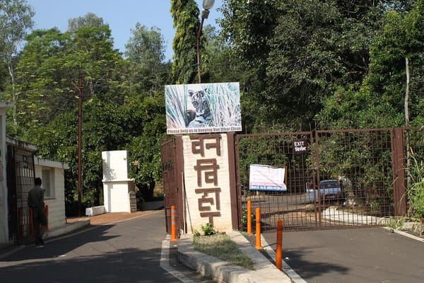 Bhopal News: वन विहार में आज से ‘नाइट सफारी’ शुरू, जानें बुकिंग और टिकट के दाम