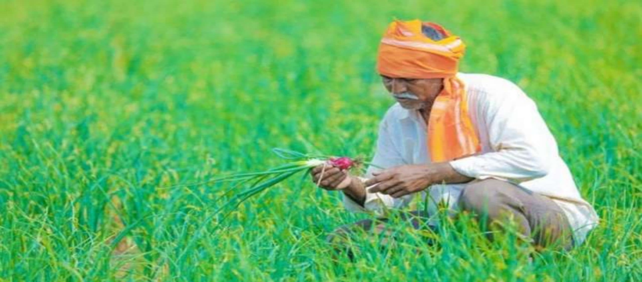 PM Kisan : आज से किसानों को मिलेगा बड़ा लाभ, तैयारियां पूरी