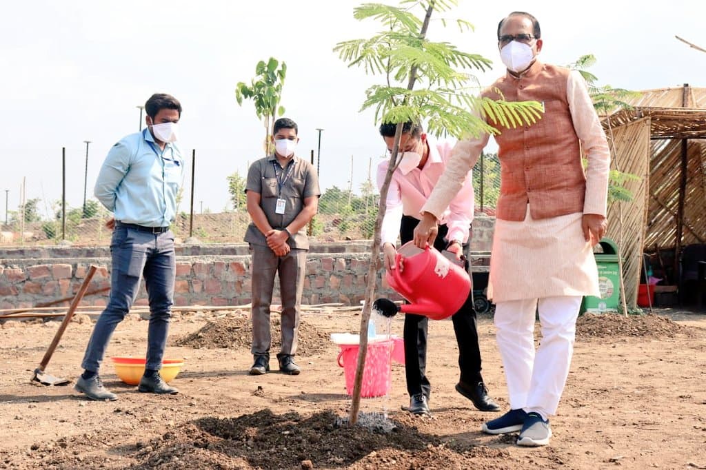गुलमोहर गर तुम्हारा नाम होता..सवा दो लाख पेड़ बचाना भी हमारा काम होता