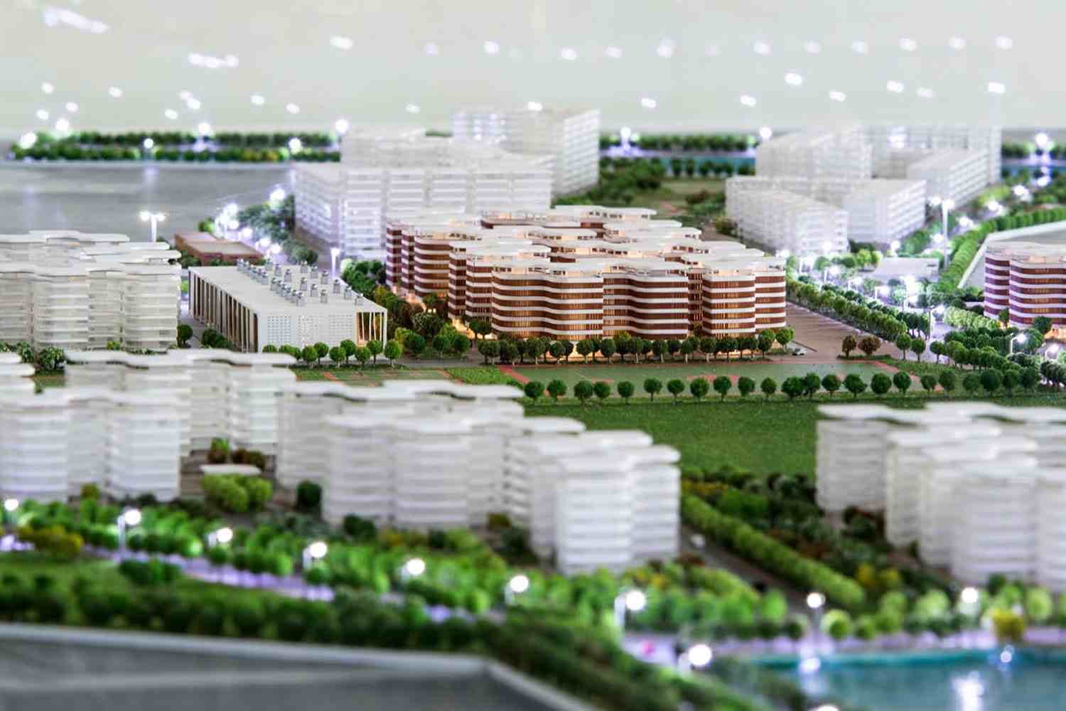 ब्लैक फंगस मरीजों के लिए राहत की खबर, IIT Hyderabad ने बनाई कम कीमत की ओरल वैक्सीन