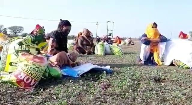 कोरोना काल में जिला जज का मानवीय चेहरा आया सामने, बांछड़ा समुदाय के 25 परिवारों को बांटा 2 माह का राशन