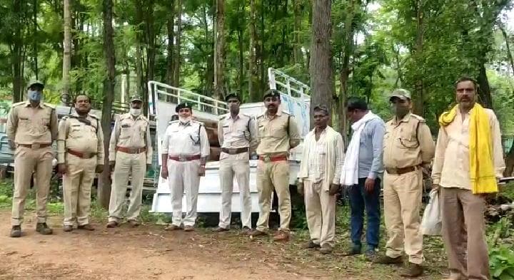 Chhindwara : वन विभाग को मिली कामयाबी, अवैध सागौन की लकड़ी सहित आरोपी पकड़ा