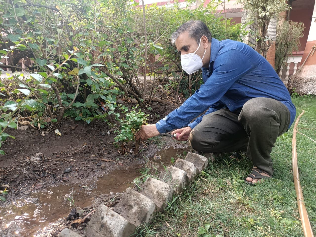 विश्व पर्यावरण दिवस पर सहज समागम फाउंडेशन संस्था द्वारा वृक्षारोपण
