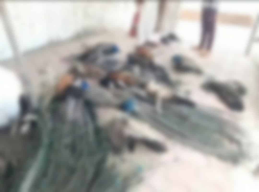 राष्ट्रीय पक्षी मोर के 15 शव पहाड़ी पर मिले, जहरीला दाना खिलाने की आशंका