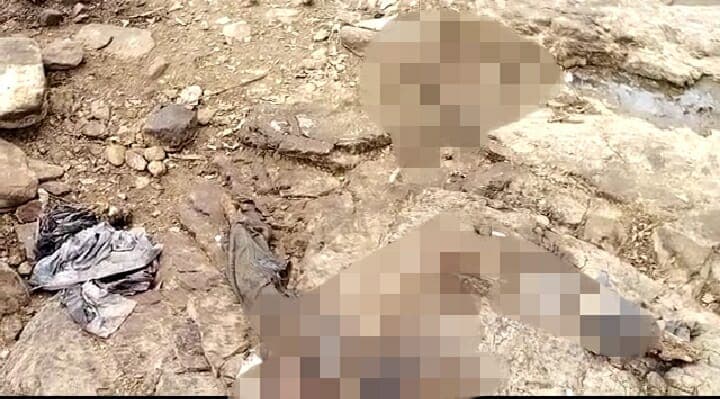 Shivpuri : नदी किनारे दो नर कंकाल मिलने से क्षेत्र में दहशत, पुलिस मामले की जांच में जुटी