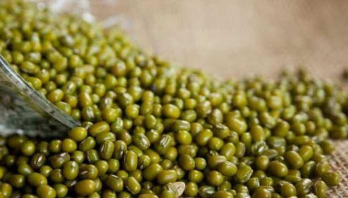 MP : मूंग और उड़द का लक्ष्य से अधिक उपार्जन, अबतक साढ़े 3 लाख मीट्रिक टन की खरीदी, किसानों को 1415 करोड़ रुपए का भुगतान