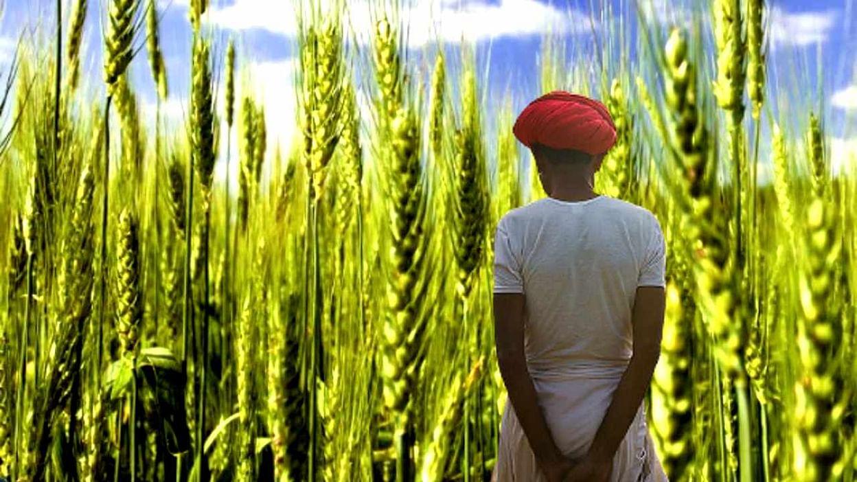 MP News : 3 जिलों के लिए तैयार हुआ रोड मैप, किसानों को मिलेगा लाभ, सरकार देगी अनुदान राशि