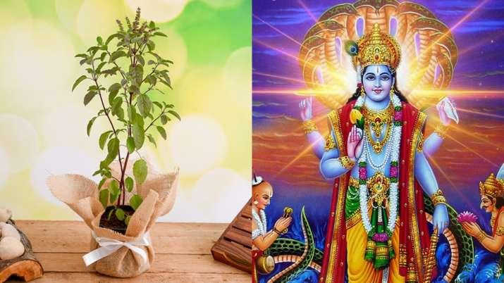 Dev Uthani Ekadashi 2021 : योगनिंद्रा से जागेंगे भगवान नारायण, इन मंत्रों से करें आराधना, मिलेगा विशेष लाभ