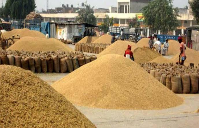 Mandi bhav: 5 फरवरी 2022 के Today’s Mandi Bhav के लिए पढ़े सबसे विश्वसनीय खबर
