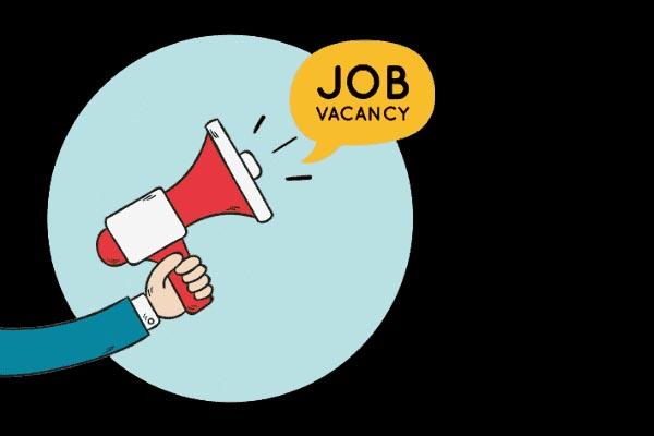 Government Job 2022 : NMDC विभाग में 168 पदों पर निकली भर्ती, जानें योग्यता व सैलेरी, 25 मार्च से पहले करें अप्लाई