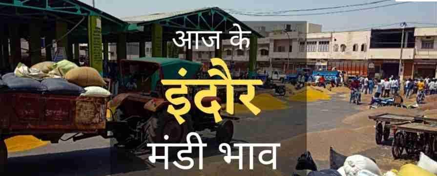 Mandi Bhav: इंदौर में आज अनाज और सब्जी का दाम, देखें 27 अक्टूबर 2022 का मंडी भाव