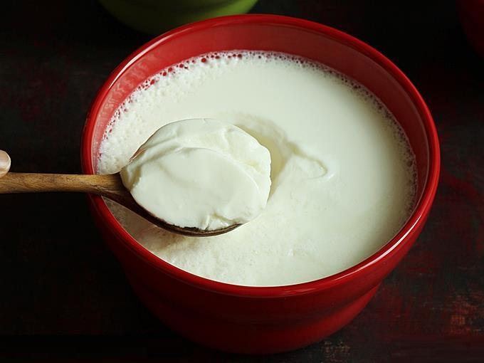 Curd Benefits in Summer : गर्मियों के दिनों में रोजाना एक कटोरी दही अमृत से कम नहीं, जानें इसके फायदे