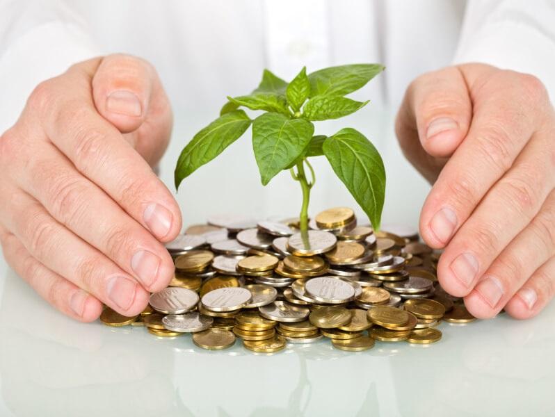 यह खास बिजनेस आपको हर साल देगा 5 गुना मुनाफा, मार्केट में बहुत है डिमांड