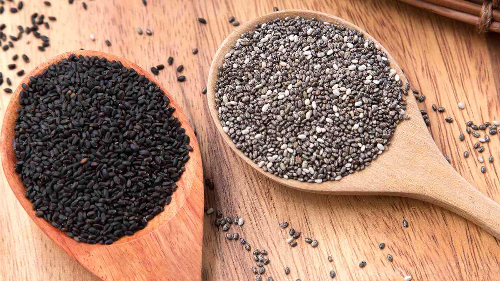 Basil Seeds Benefits: कई पोषक तत्वों से भरपूर है बेसिल सीड्स, जानिए इसके अनेक फायदे