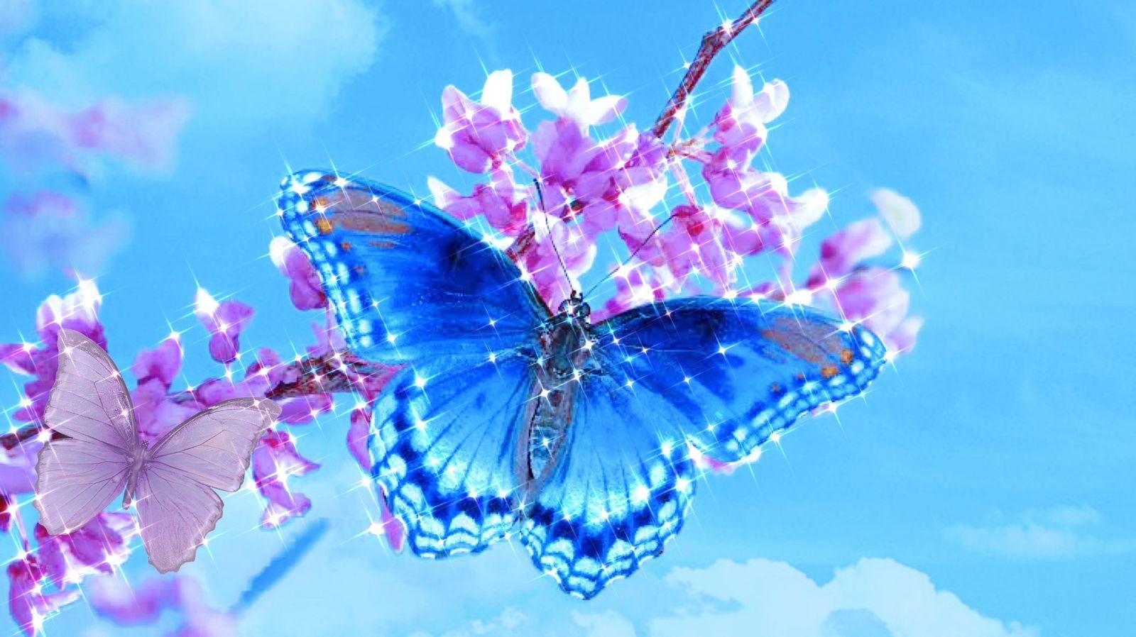 क्या आप जानते हैं अपने पैरों से स्वाद लेती है तितली, जानिए तितलियों के बारे में 10 रोचक तथ्य