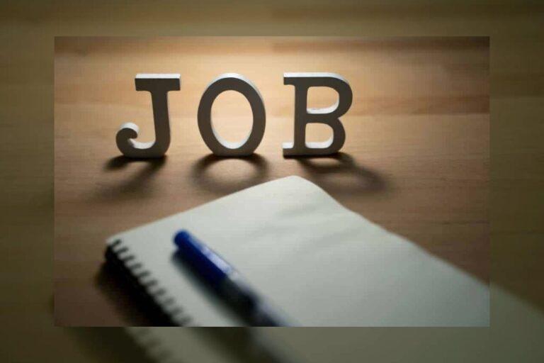 बैंक ऑफ बड़ौदा में 166 पदों पर निकली है भर्ती, 26 फरवरी तक करें आवेदन, जानें आयु सीमा और पात्रता डिटेल्स