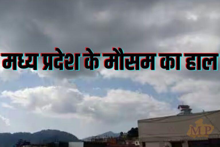 MP Weather Update: 30 जिलों में कोहरा, 8 फरवरी को सक्रिय होगा नया सिस्टम, अगले हफ्ते फिर बारिश के संकेत