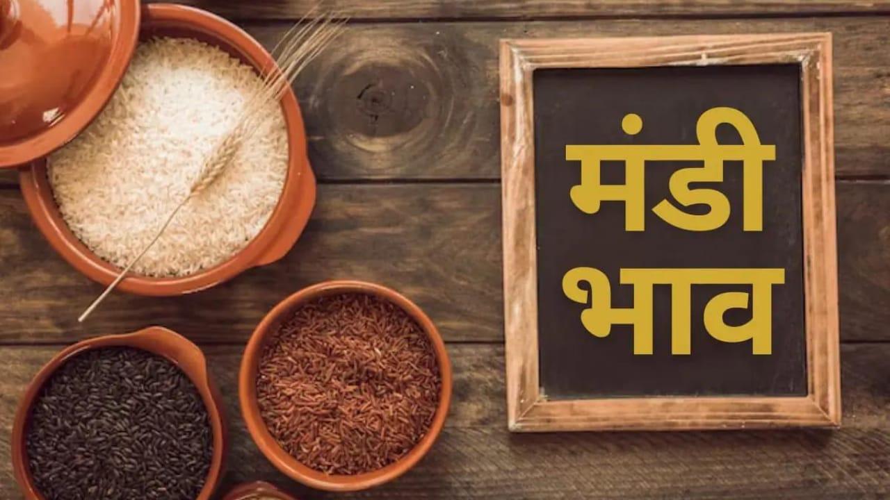 Mandi Bhav: डॉलर और देसी चना के भाव में उछाल जारी, गेहूं-सोयाबीन में मंदी, देखें 13 अक्टूबर का ताजा रेट