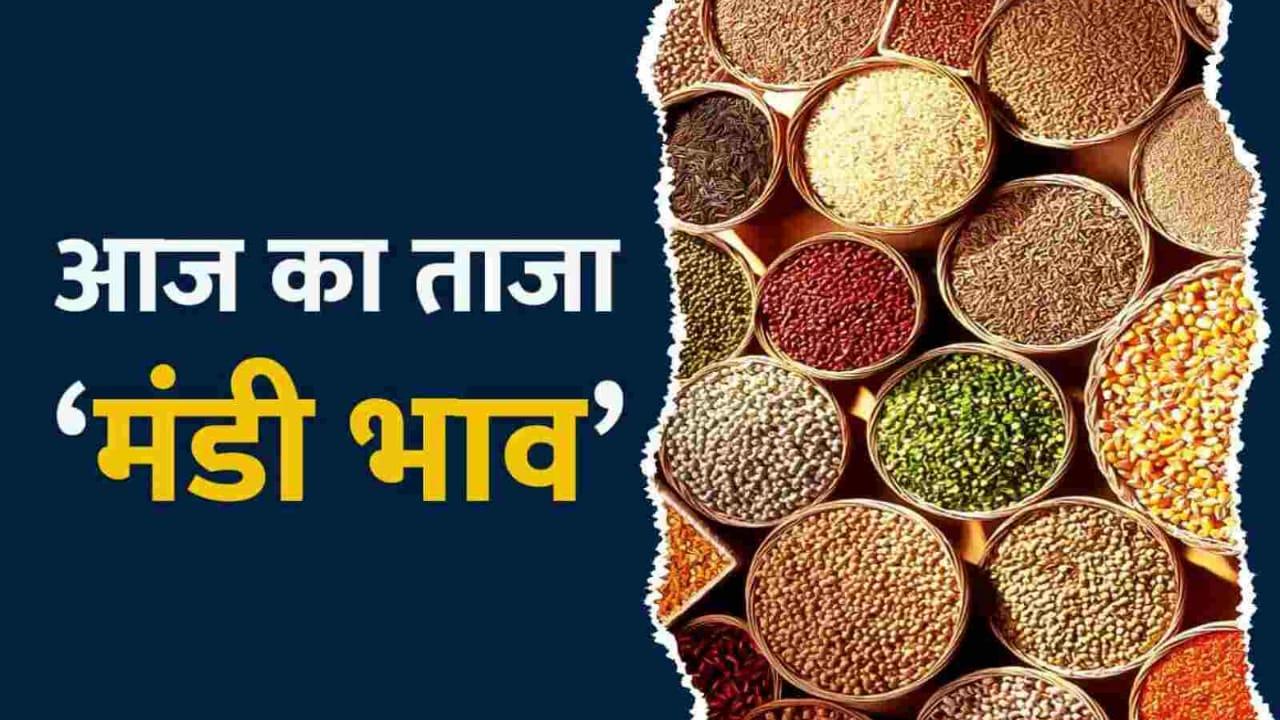 Mandi Bhav: डॉलर चना के दाम में उछाल, मूंग-सोयाबीन भी तेज, देखें 4 फरवरी का सटीक रेट